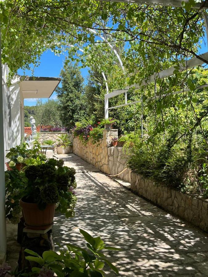 Apartment With Swimming Pool Jelsa  Exterior foto