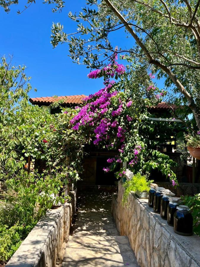 Apartment With Swimming Pool Jelsa  Exterior foto