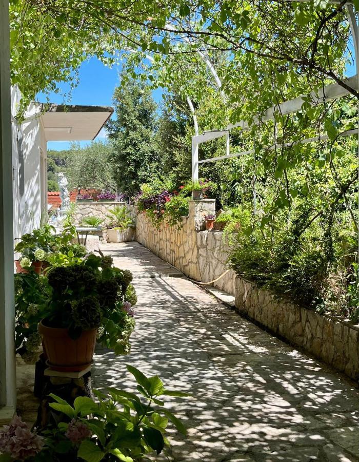 Apartment With Swimming Pool Jelsa  Exterior foto